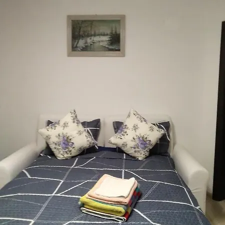 Guest house Vanessa Brasov